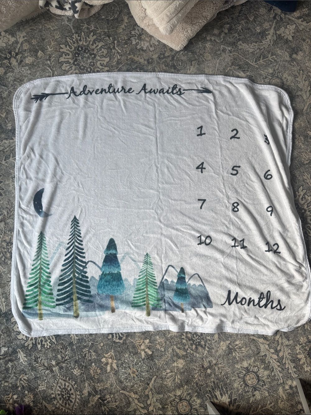Adventure Awaits Milestone Baby Blanket - Forest Moon Design